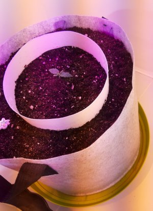 20220701_124331.jpg 20220701_124331.jpg