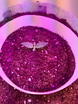 20220701_124345.jpg 20220701_124345.jpg