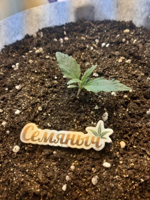 20220701_132839.jpg 20220701_132839.jpg