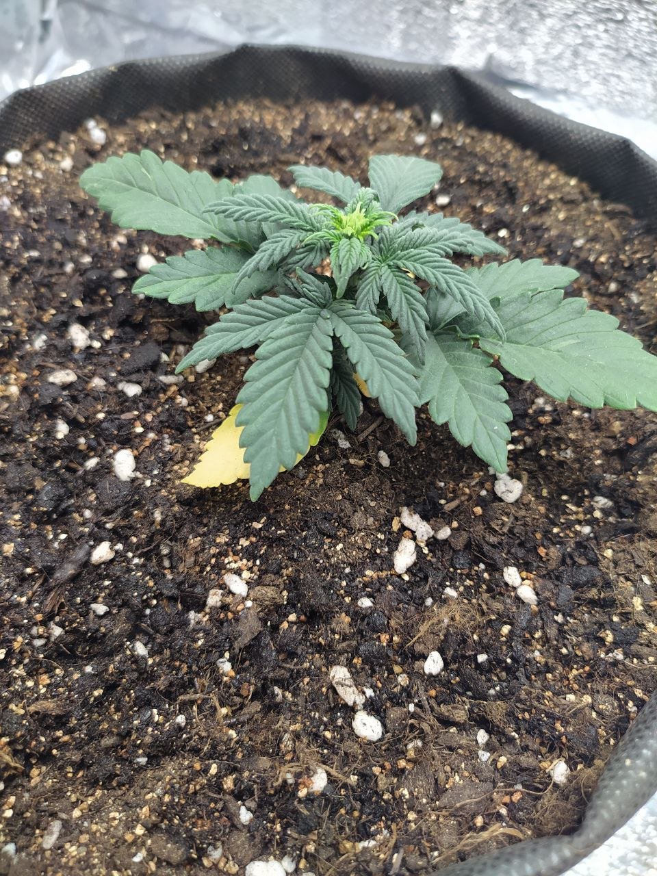 photo4 — копия.jpg