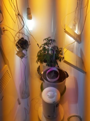 20220701_222811.jpg 20220701_222811.jpg