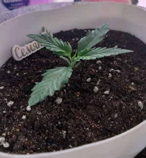 20220702_102234.jpg 20220702_102234.jpg