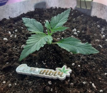 20220702_112645.jpg 20220702_112645.jpg