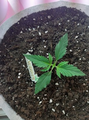 20220702_112617.jpg 20220702_112617.jpg