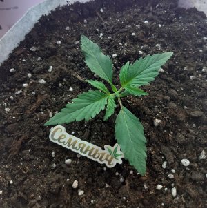 20220702_112512.jpg 20220702_112512.jpg