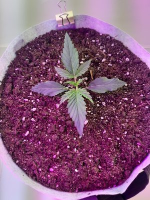 20220702_124159.jpg 20220702_124159.jpg