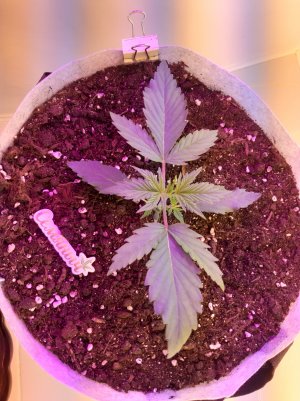 20220702_184940.jpg 20220702_184940.jpg