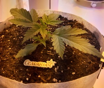 20220702_202947.jpg 20220702_202947.jpg