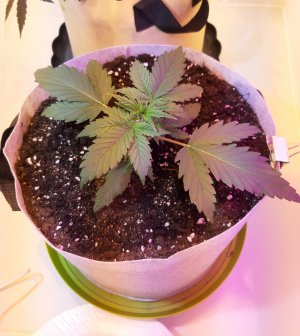 20220702_205125.jpg 20220702_205125.jpg