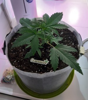 20220702_211432.jpg 20220702_211432.jpg