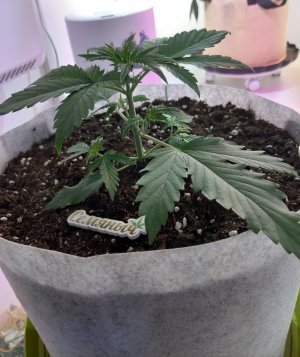 20220702_211455.jpg 20220702_211455.jpg