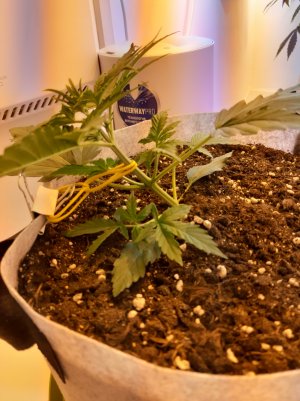 20220703_094147.jpg 20220703_094147.jpg