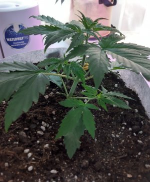 20220703_115036.jpg 20220703_115036.jpg