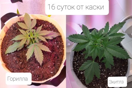 20220412_084534.jpg 20220412_084534.jpg