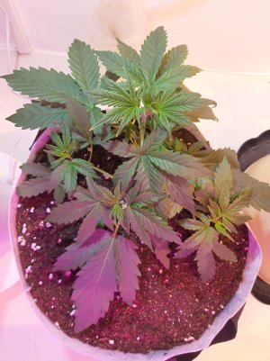 20220703_123557.jpg 20220703_123557.jpg