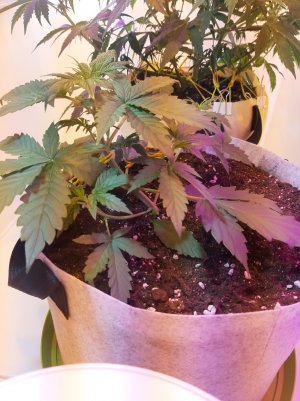 20220703_123629.jpg 20220703_123629.jpg