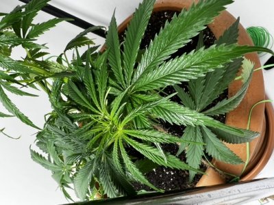 225E7B41-123E-479A-8AEB-B1AC2AE4F5F7.jpeg 225E7B41-123E-479A-8AEB-B1AC2AE4F5F7.jpeg