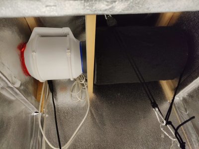 IMG20220705094345_обработано.jpg IMG20220705094345_обработано.jpg