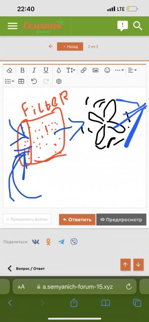 6B5A489F-E1AD-4265-BA34-2C8F850F109B.jpeg 6B5A489F-E1AD-4265-BA34-2C8F850F109B.jpeg