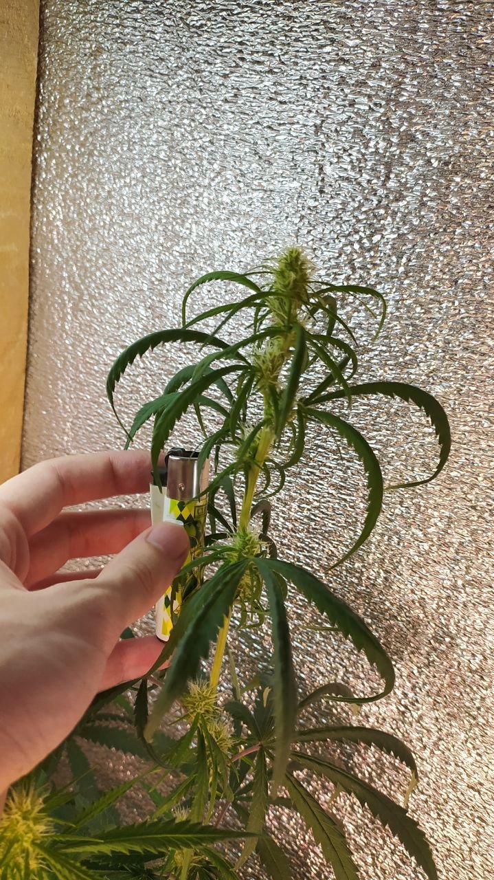 photo_2022-07-08_12-44-26 (4).jpg