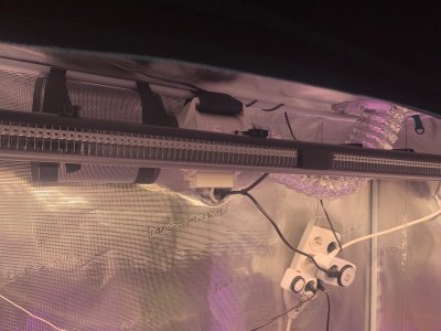 IMG_2541 (1).jpg IMG_2541 (1).jpg