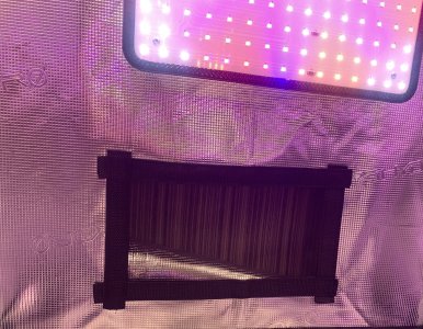 IMG_2542.jpg IMG_2542.jpg