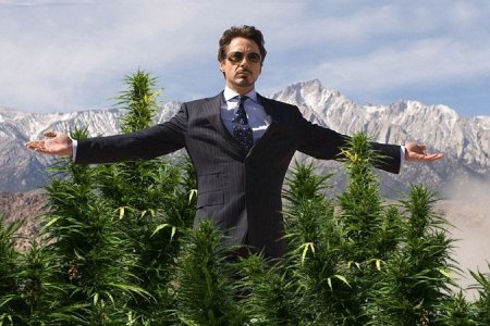 как вырастить коноплю как вырастить коноплю