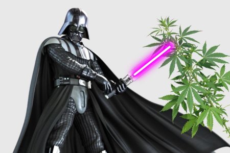 ДНаТ лампы для конопли ДНаТ лампы для конопли