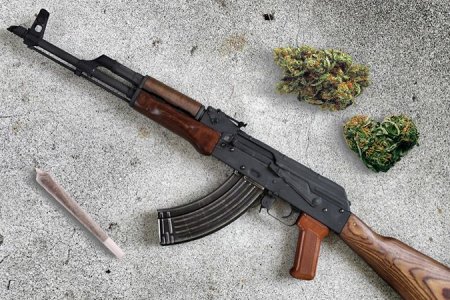 сорт ак 47 сорт ак 47