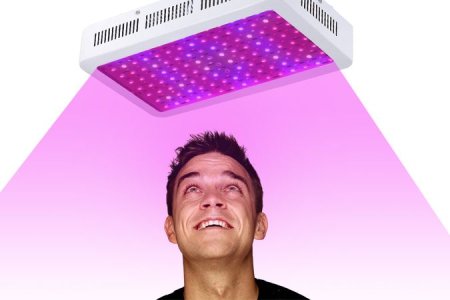 освещение для конопли освещение для конопли