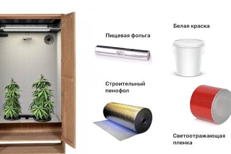 как правильно выращивать коноплю в гроубоксе как правильно выращивать коноплю в гроубоксе