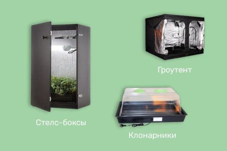 виды гроубоксов для конопли виды гроубоксов для конопли
