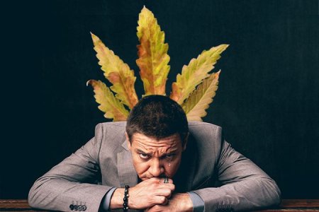 Болезни конопли Болезни конопли