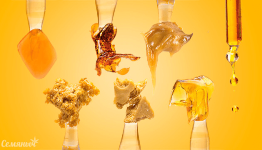 1608485837172.png 1608485837172.png