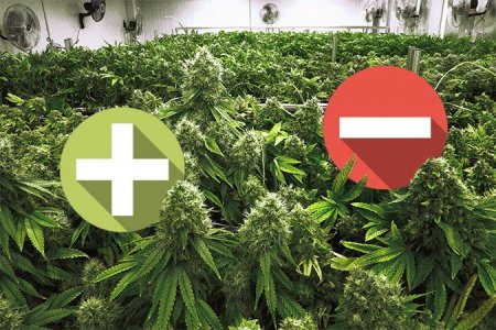 плюсы и минусы SOG плюсы и минусы SOG