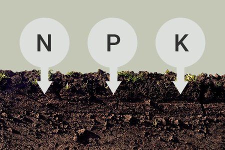 Питательные вещества в почвосмеси для выращивания конопли