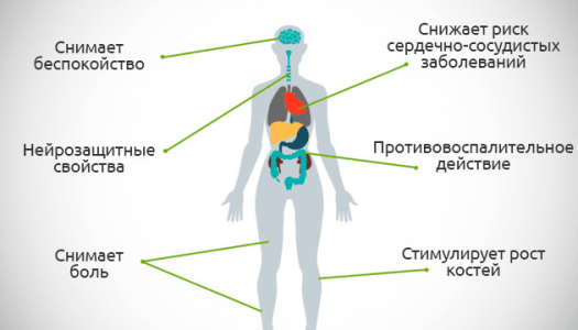 1610134068154.png 1610134068154.png