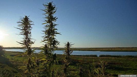 фото8.jpg фото8.jpg