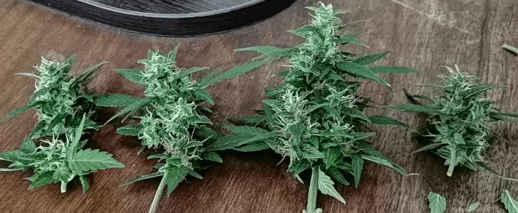 1612619245513.png 1612619245513.png