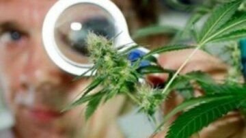 фото3.jpg фото3.jpg