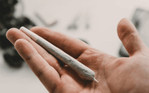 1614024442111.png 1614024442111.png