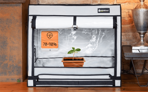 1614769741572.png 1614769741572.png