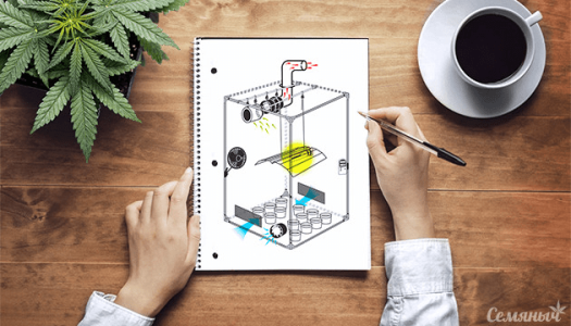 1614769806095.png 1614769806095.png