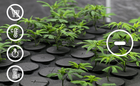 1614769937701.png 1614769937701.png