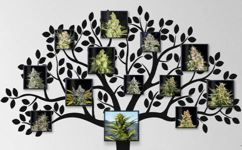 1615667957137.png 1615667957137.png