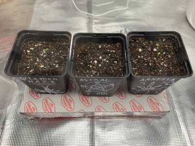 A2BA0691-952D-4EB9-A5F0-AD598C2521DD.jpeg A2BA0691-952D-4EB9-A5F0-AD598C2521DD.jpeg