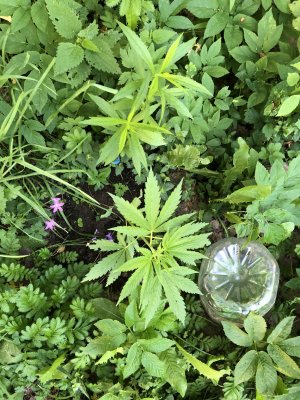 06A9B53E-97F6-49D1-8CB3-8C74F7B11060.jpeg 06A9B53E-97F6-49D1-8CB3-8C74F7B11060.jpeg