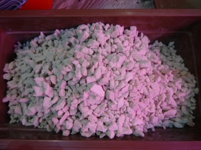 DSC00284.jpg DSC00284.jpg