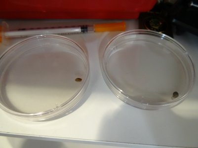 DSC00286.jpg DSC00286.jpg