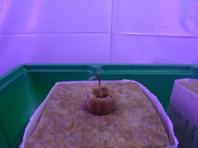 DSC00290.jpg DSC00290.jpg